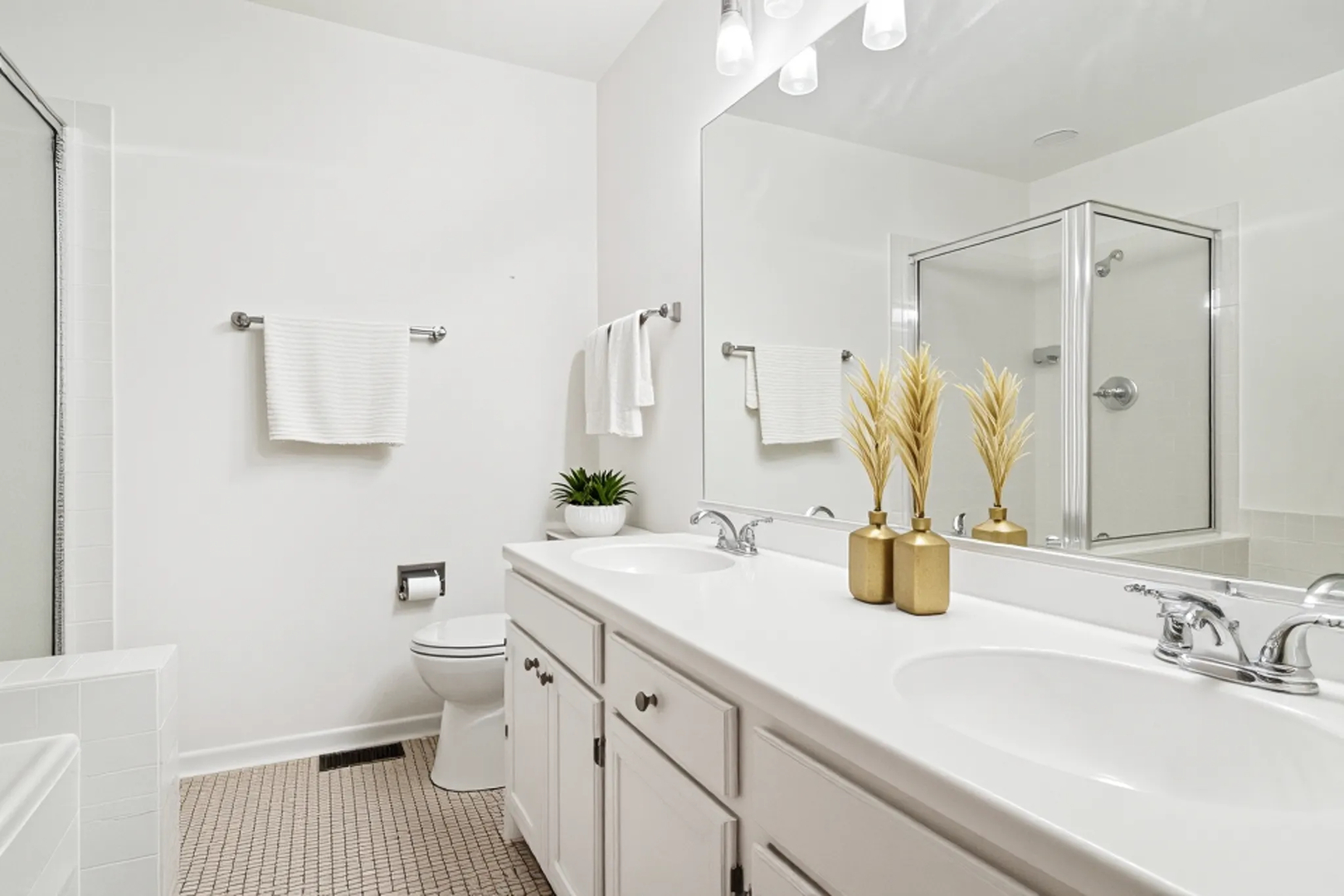 381 BENTLEY Place, Buffalo Grove, IL 60089