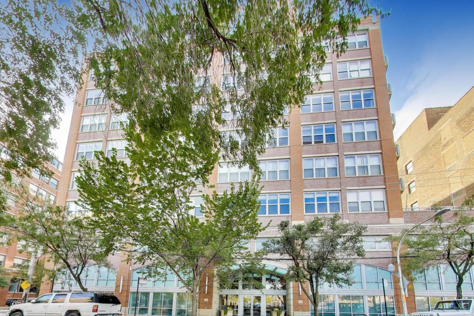933 W Van Buren Street #311, Chicago, IL 60607