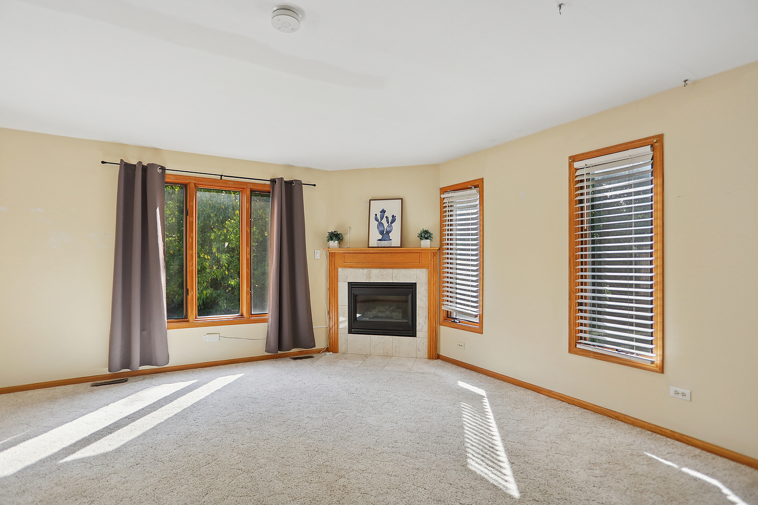 17727 Mayher Drive, Orland Park, IL 60467