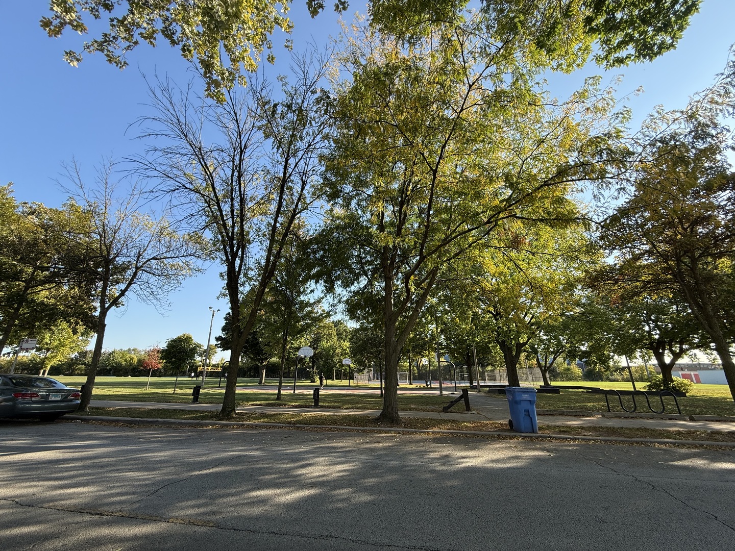 5850 S Neva Avenue, Chicago, IL 60638