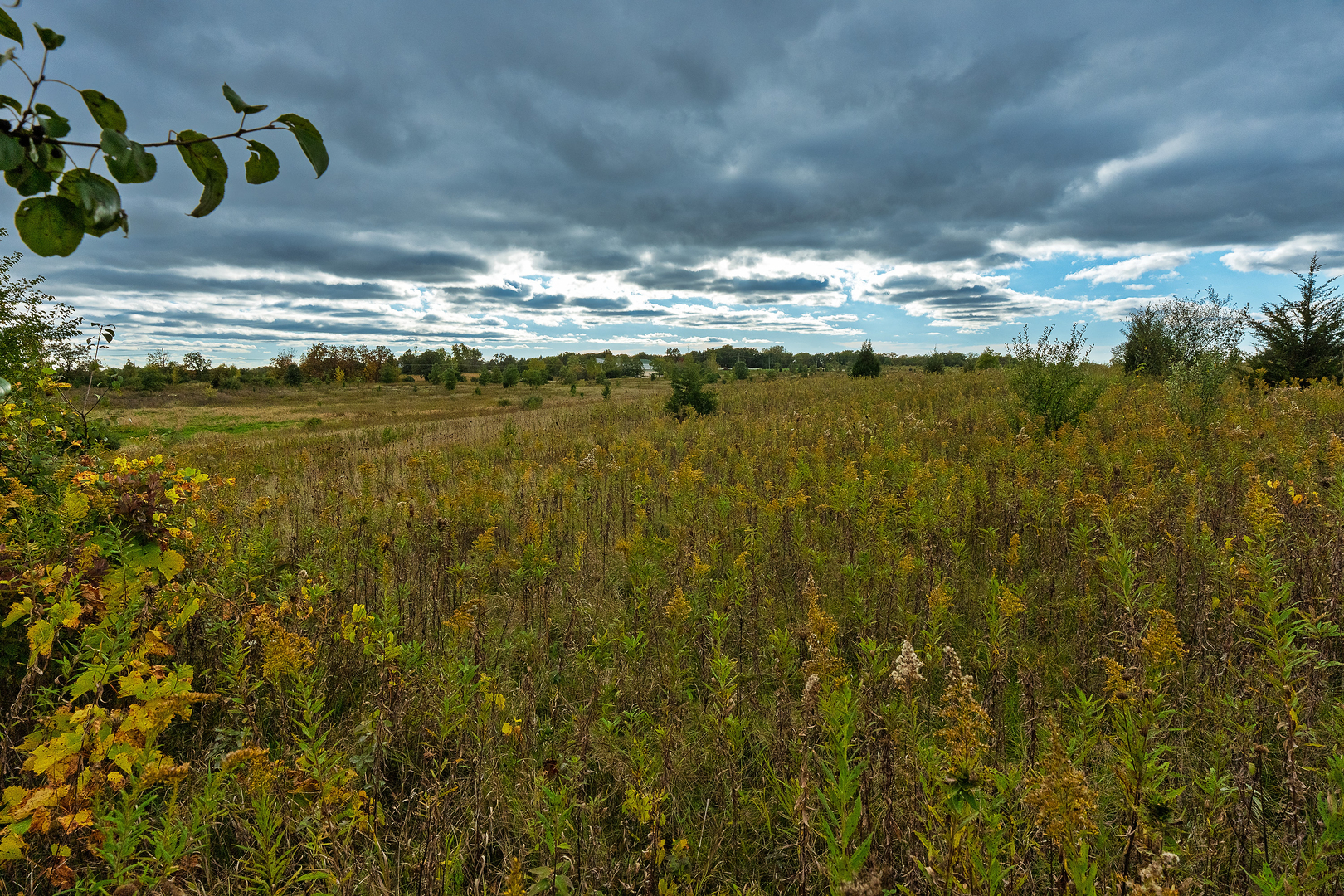 2930 Glacier Way #A, Wauconda, IL 60084