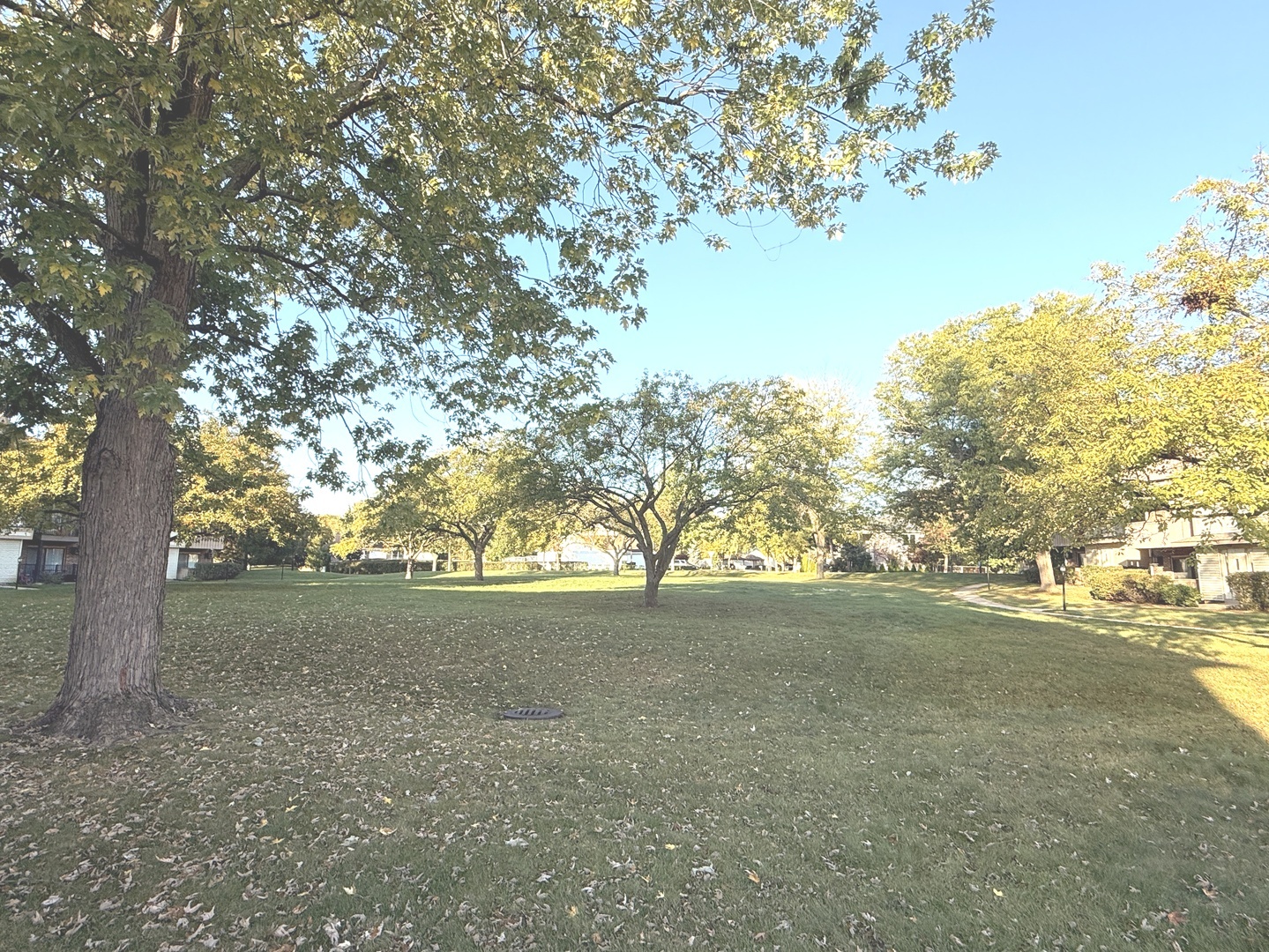 11 Echo Court #12, Vernon Hills, IL 60061