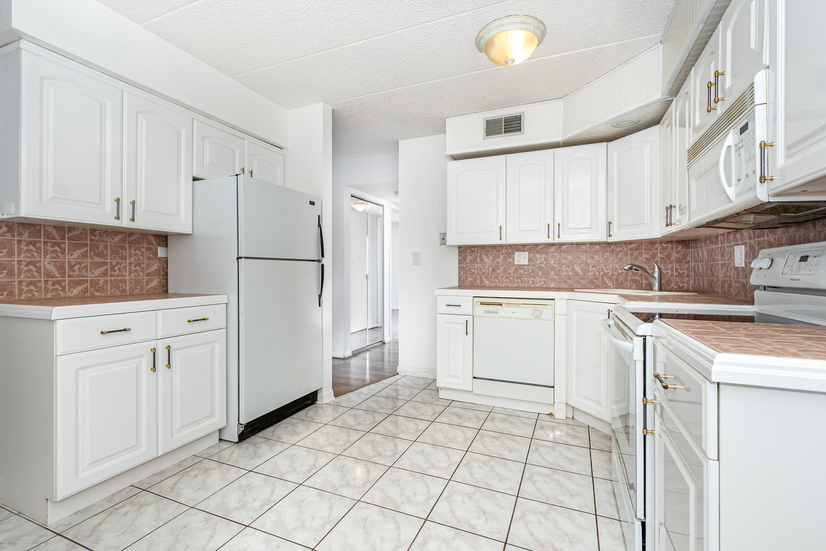 1615 Richmond Circle #101, Joliet, IL 60435