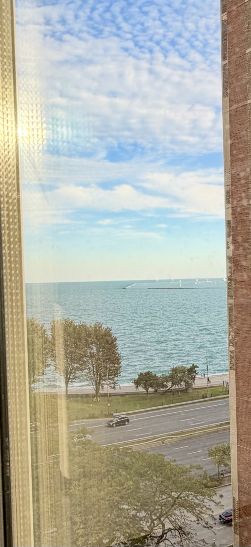1550 N Lake Shore Drive #9F, Chicago, IL 60610