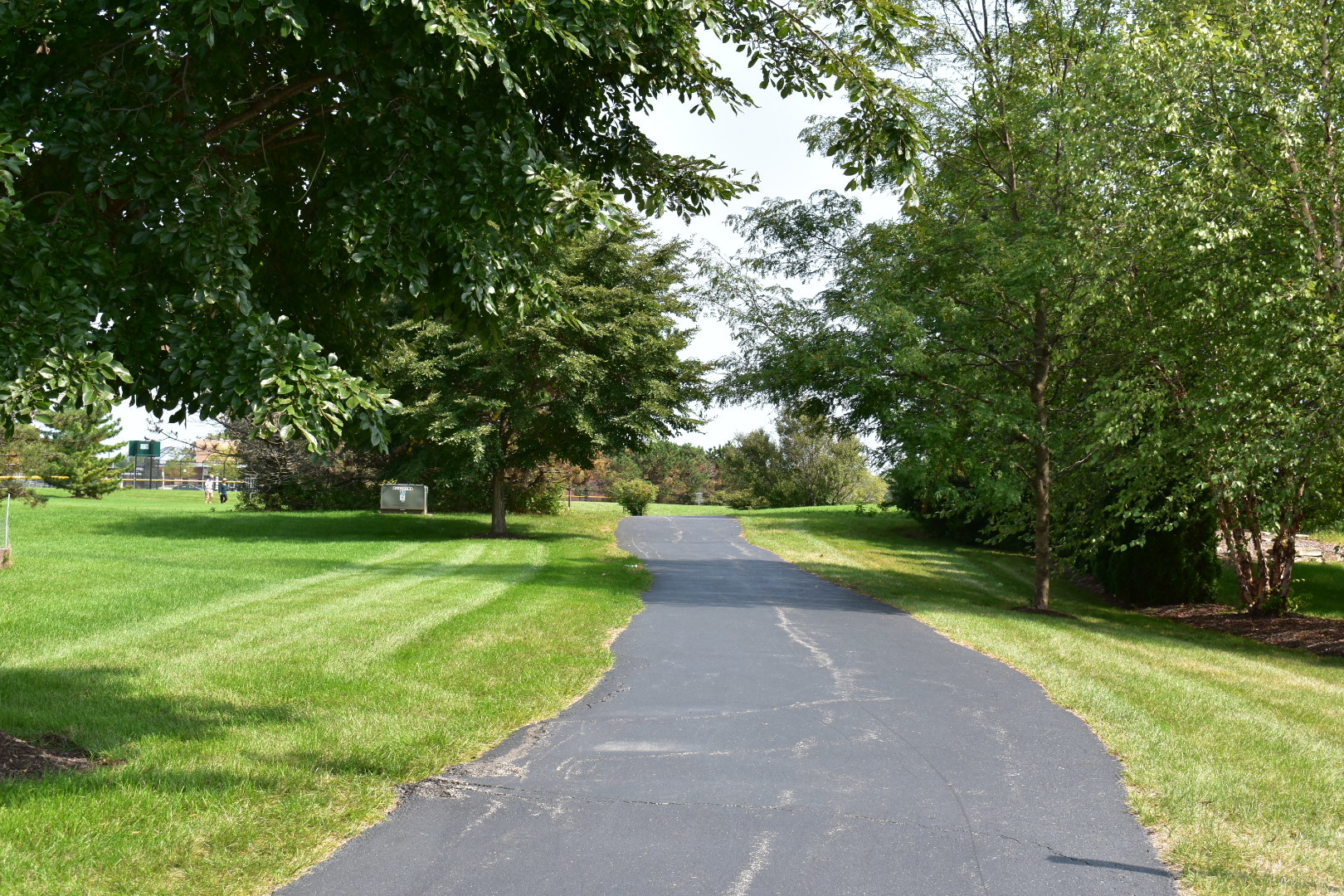 12464 Carver Lane, Huntley, IL 60142