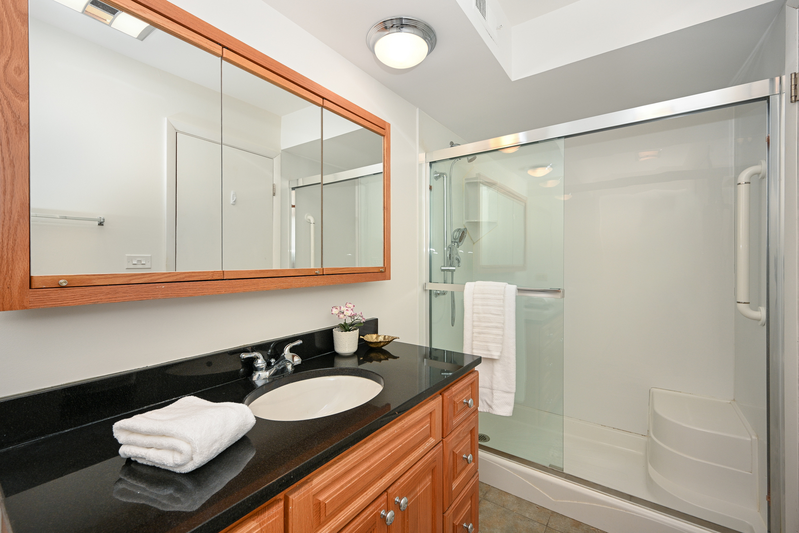 441 N Park Boulevard #5K, Glen Ellyn, IL 60137