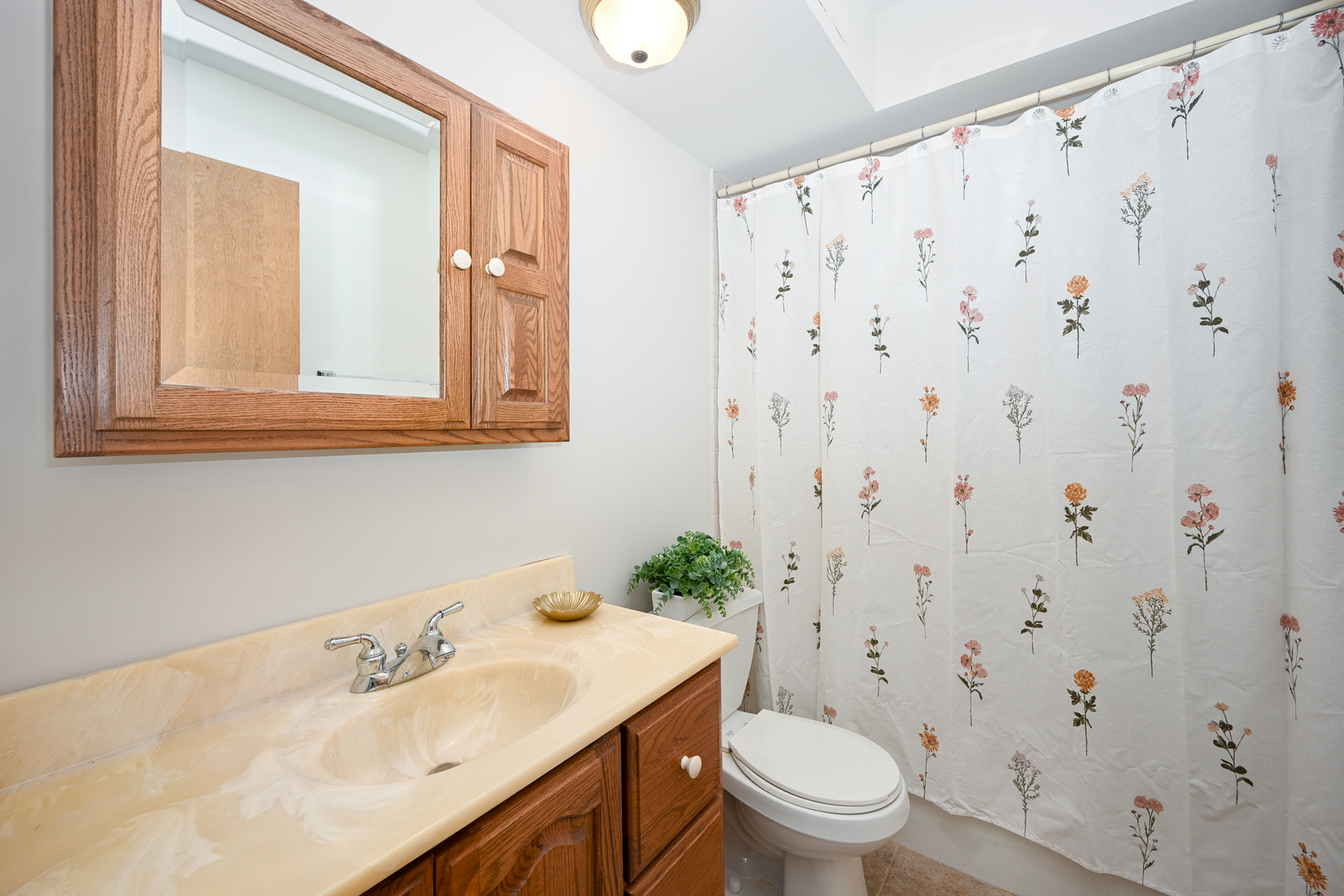 441 N Park Boulevard #5K, Glen Ellyn, IL 60137