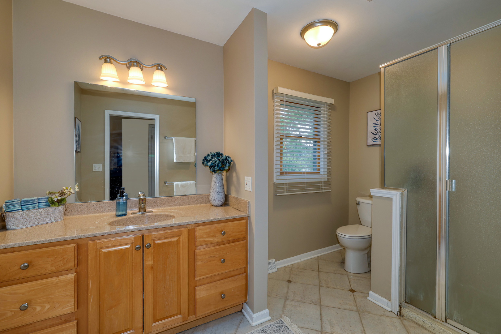 6S503 Bridlespur Drive, Naperville, IL 60540