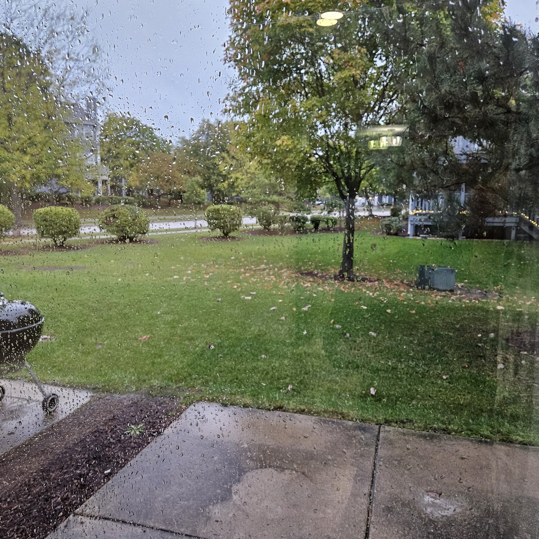 1134 S Parkside Drive, Palatine, IL 60067