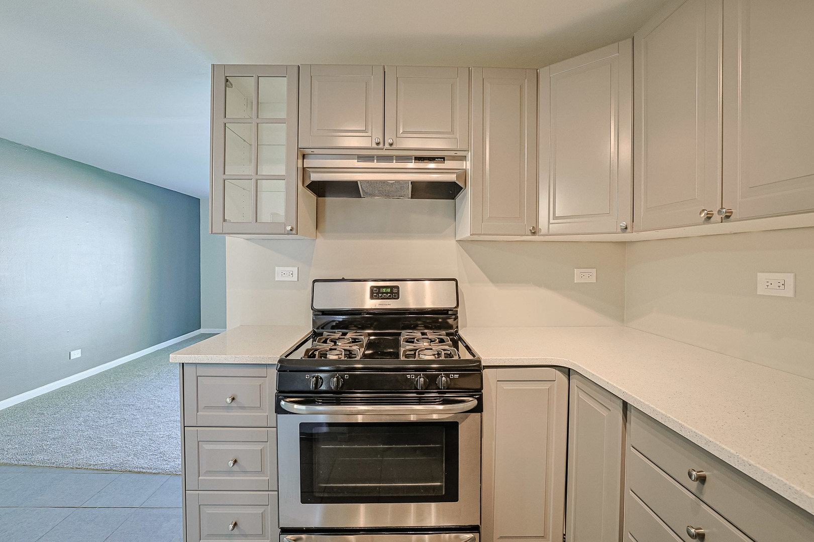 1128 Quanset Court #1128, Schaumburg, IL 60194