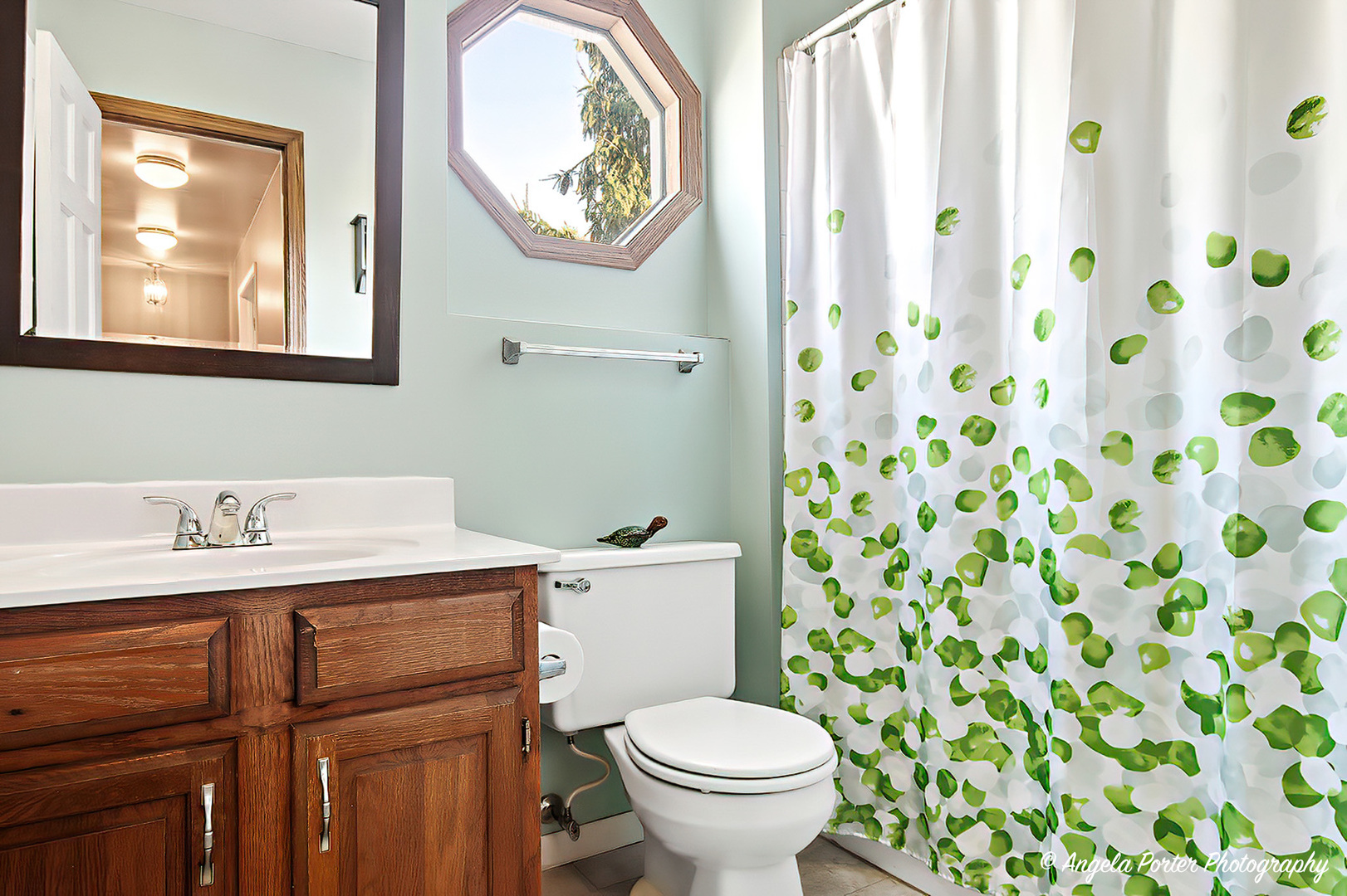 386 Copper Canyon Trail, Cary, IL 60013