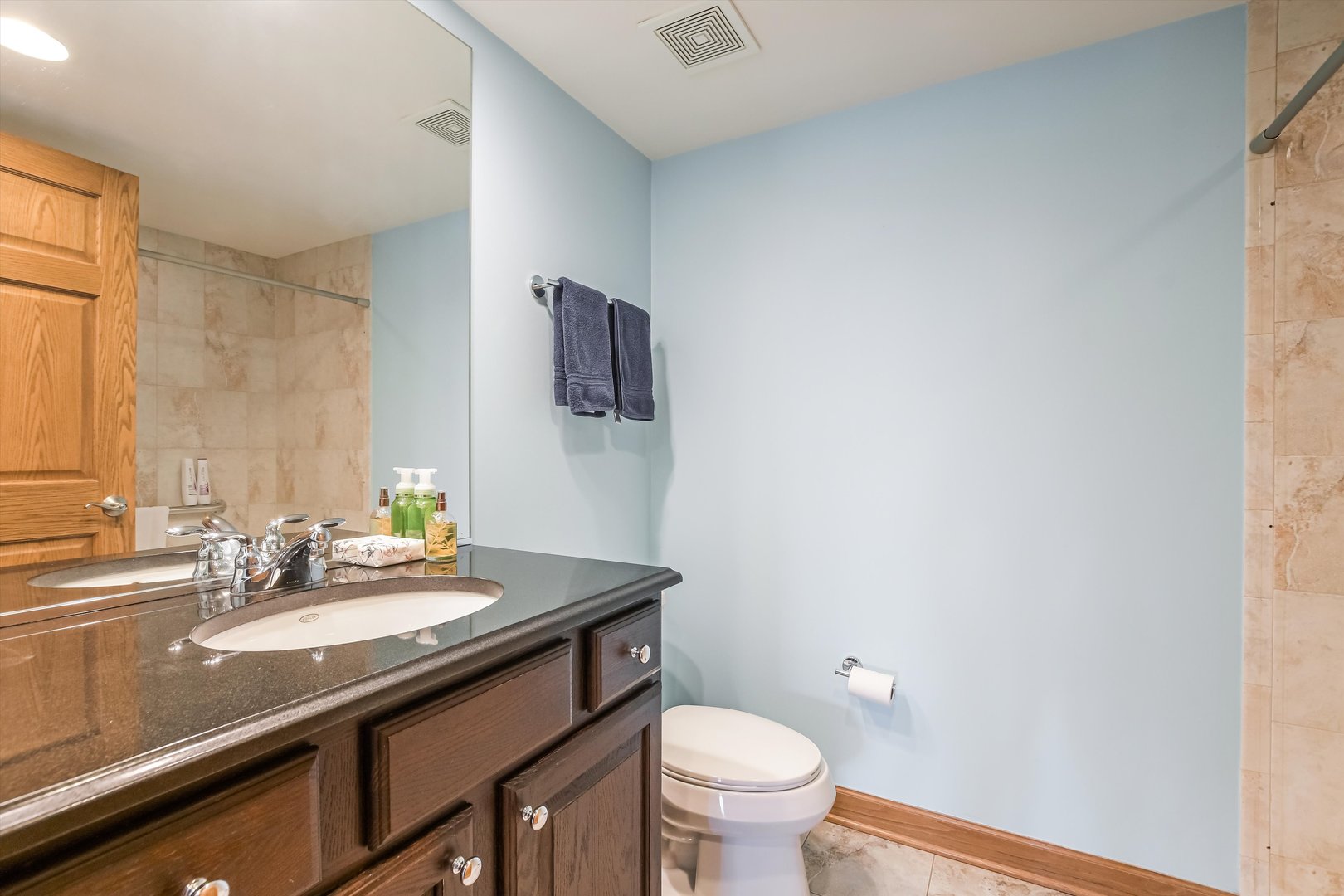4811 N Olcott Avenue #307, Harwood Heights, IL 60706