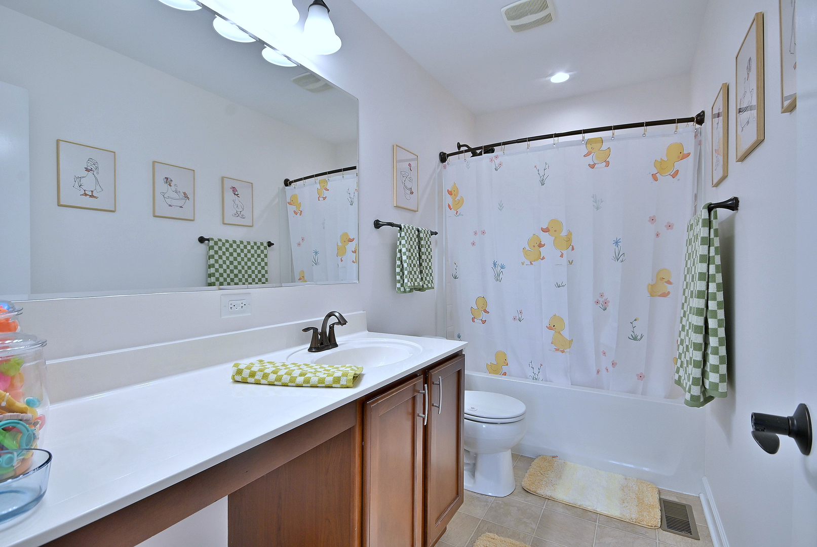 4911 Seeley Street, Oswego, IL 60543