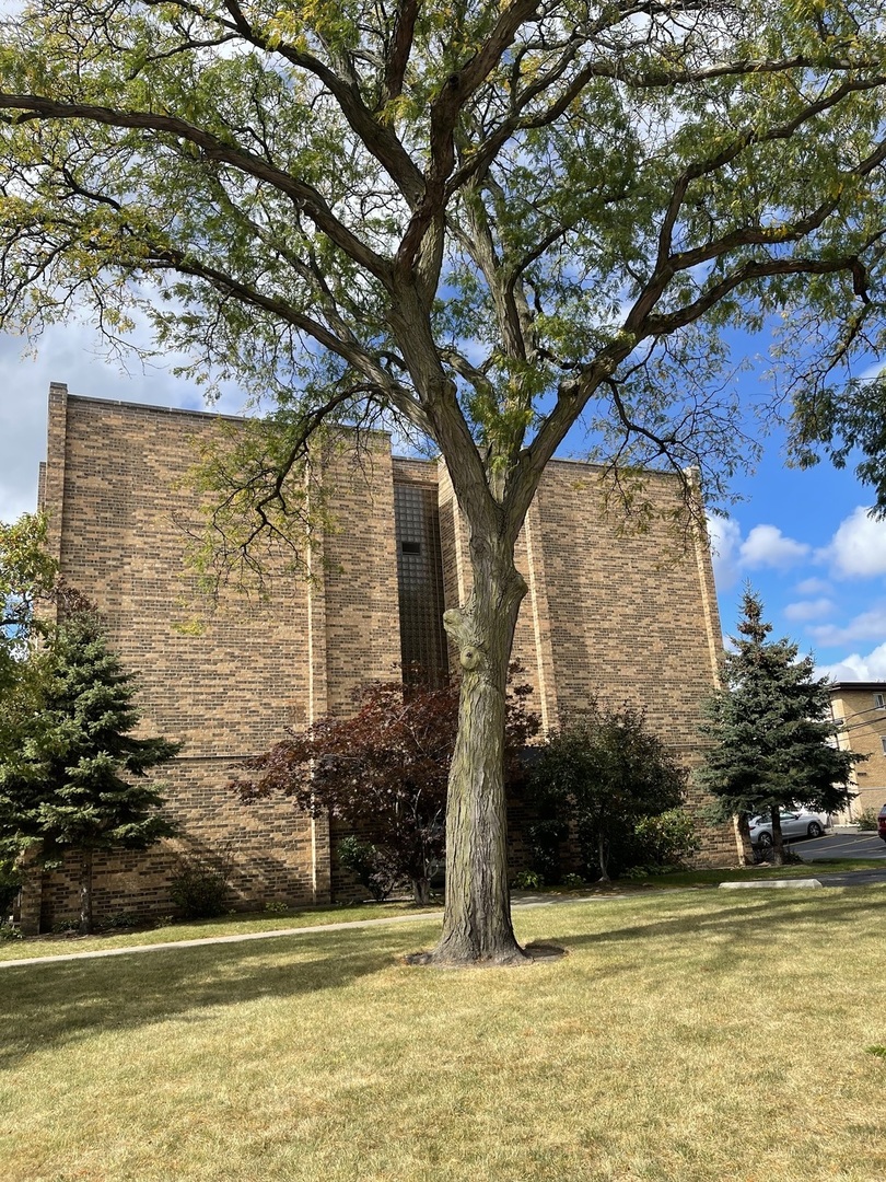 6400 N Ridge Boulevard #203, Chicago, IL 60626