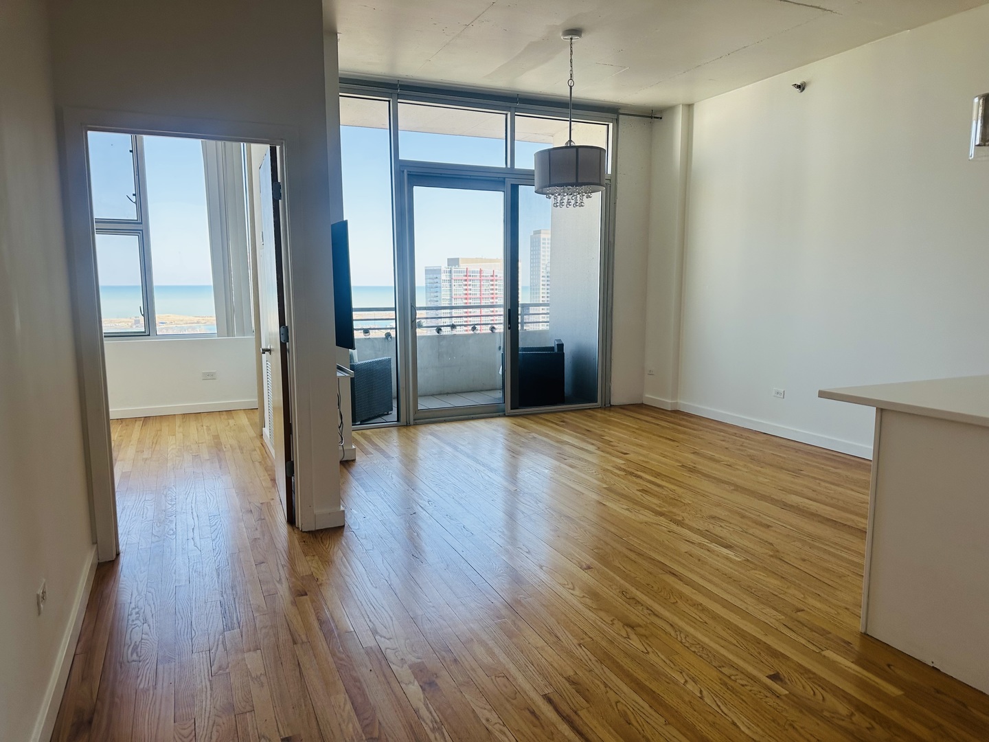 1720 S Michigan Avenue #2003, Chicago, IL 60616
