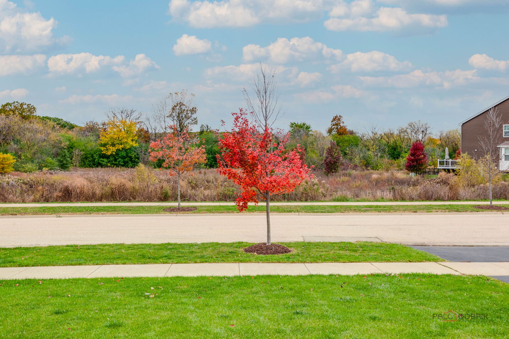 34075 N Jenna Lane, Gurnee, IL 60031