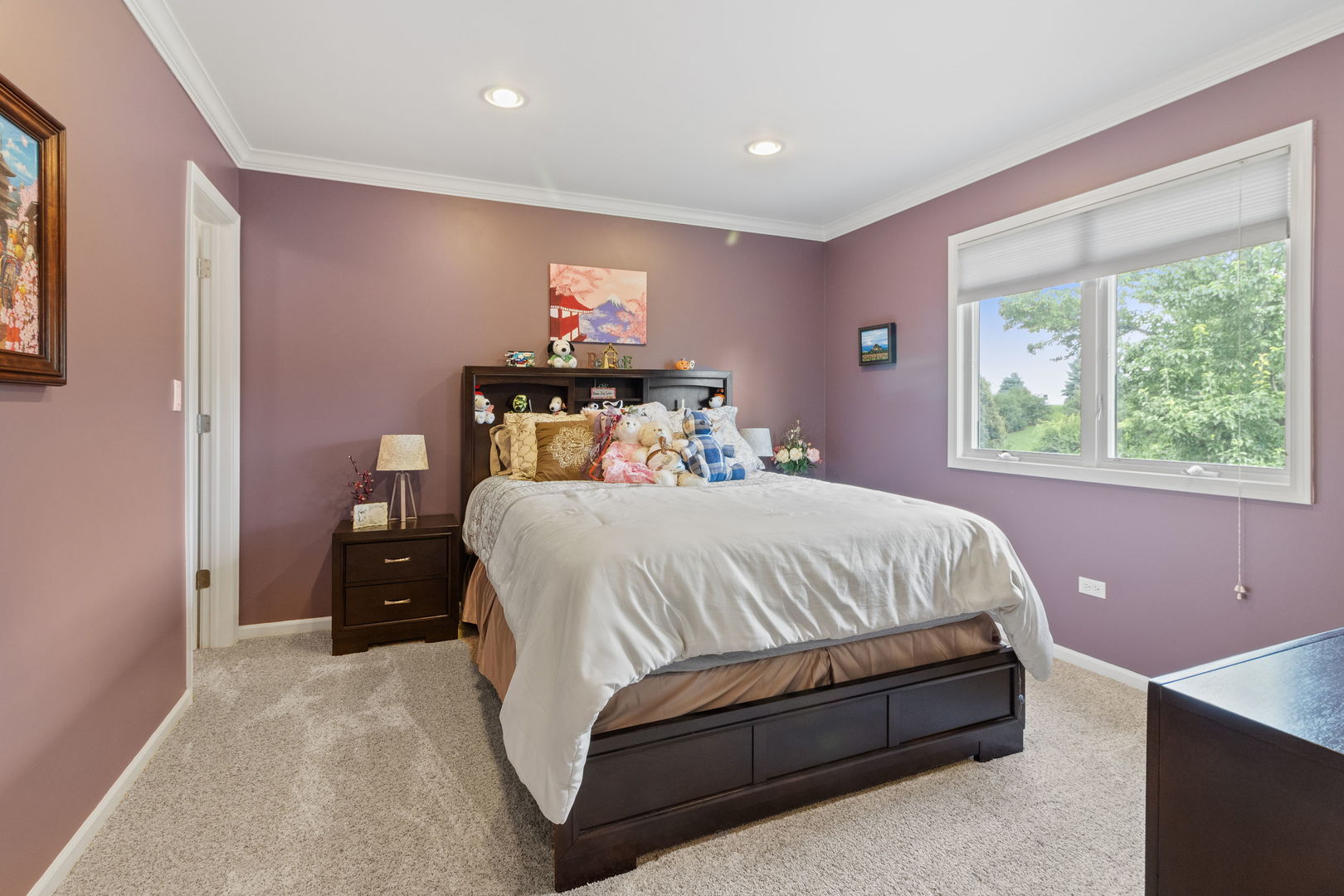 24412 W Park River Lane, Shorewood, IL 60404