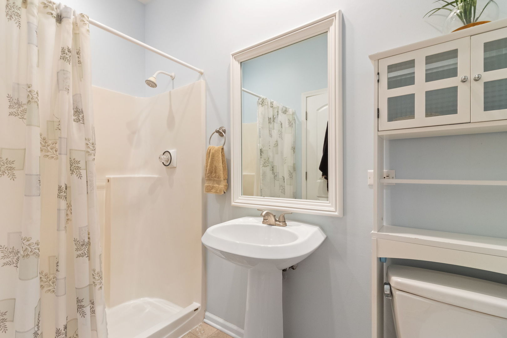 24412 W Park River Lane, Shorewood, IL 60404