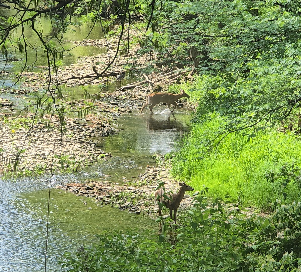 19583 W Goodwin Road, Wilmington, IL 60481