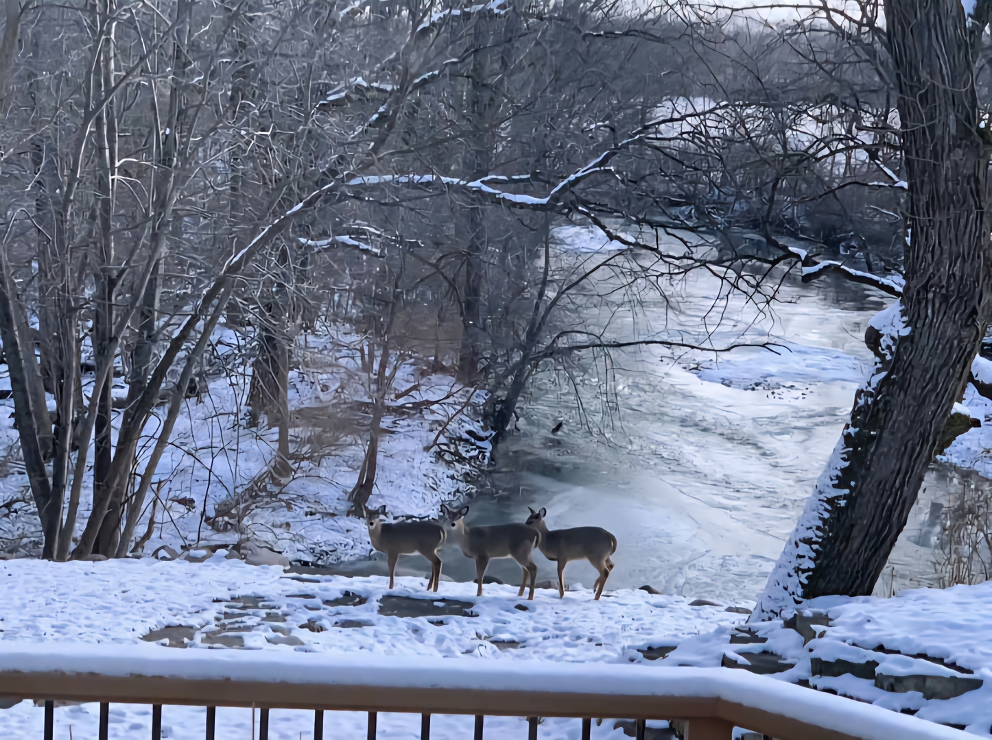 19583 W Goodwin Road, Wilmington, IL 60481