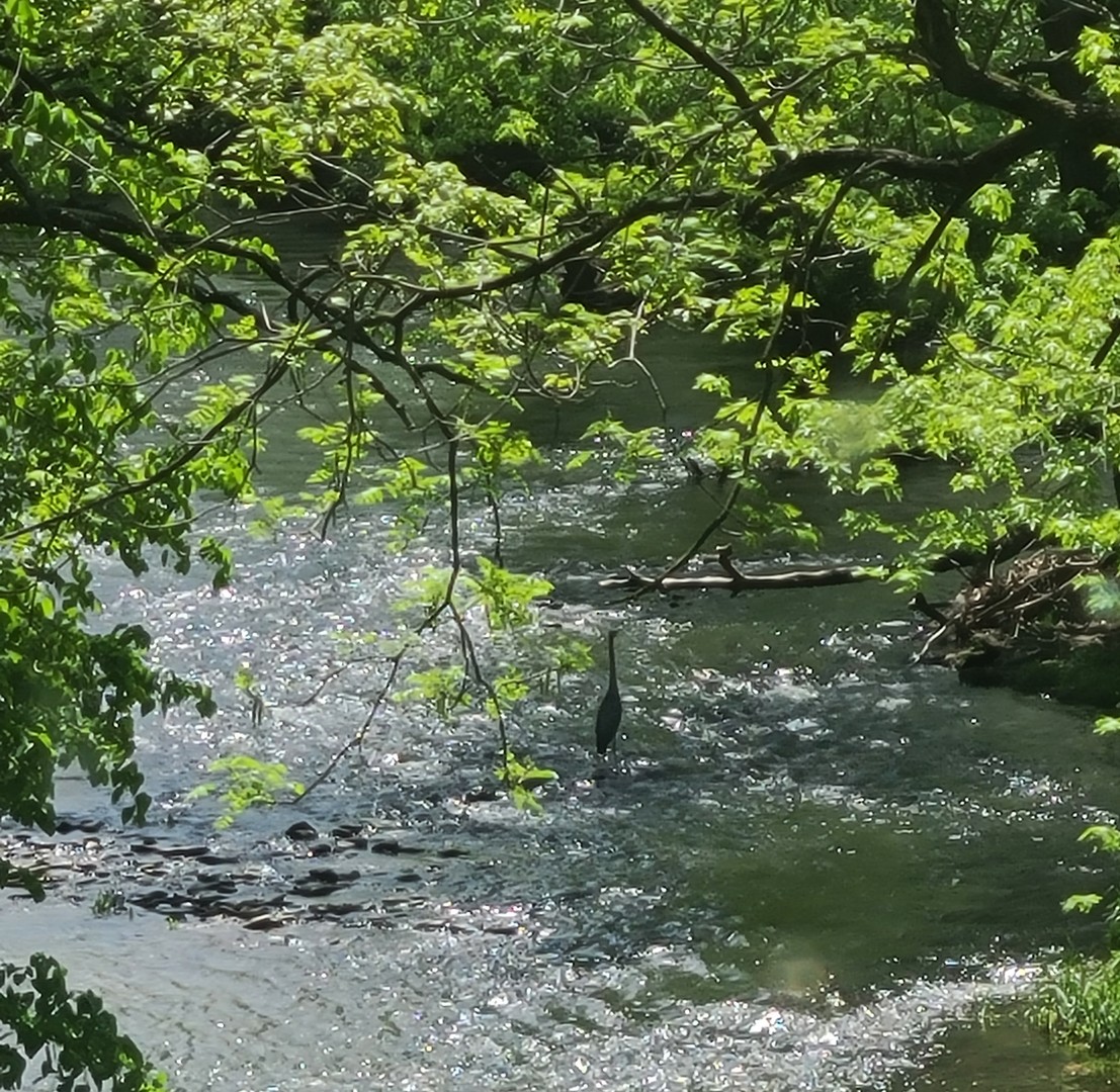 19583 W Goodwin Road, Wilmington, IL 60481