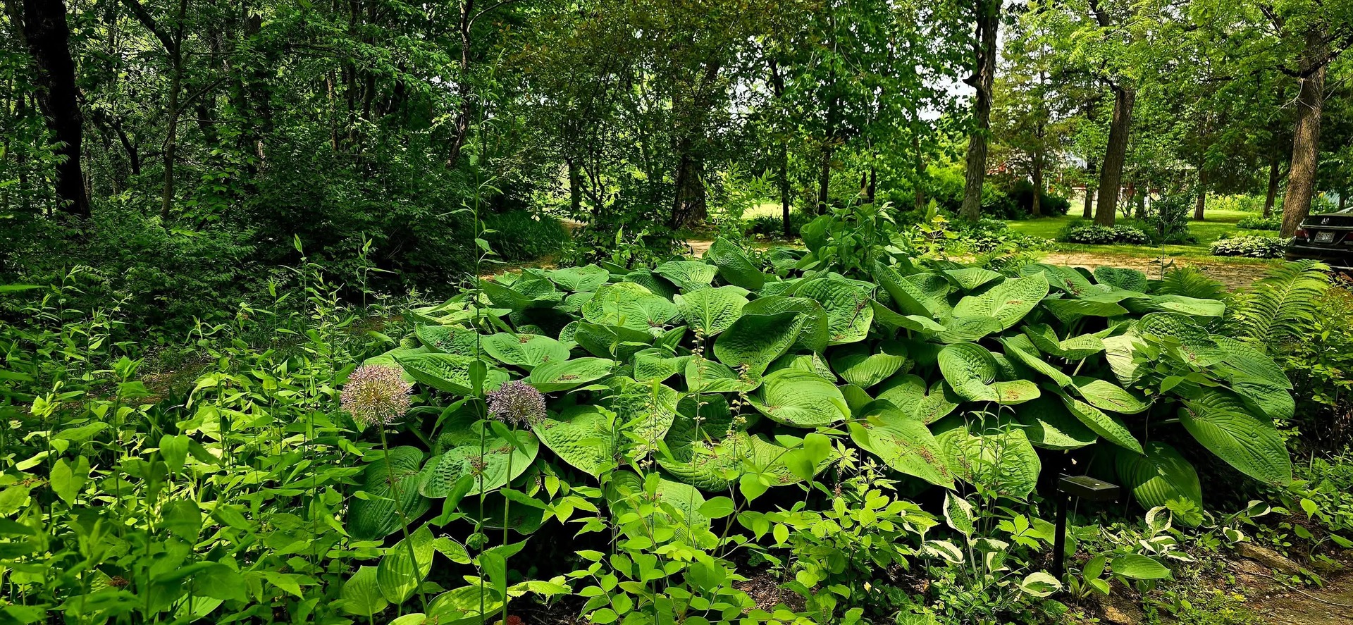 19583 W Goodwin Road, Wilmington, IL 60481