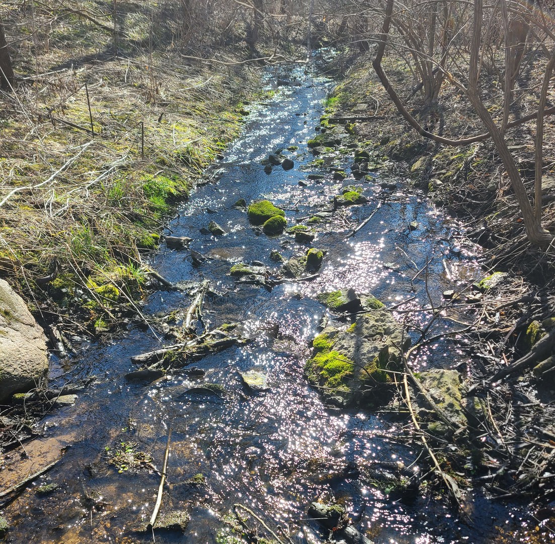 19583 W Goodwin Road, Wilmington, IL 60481