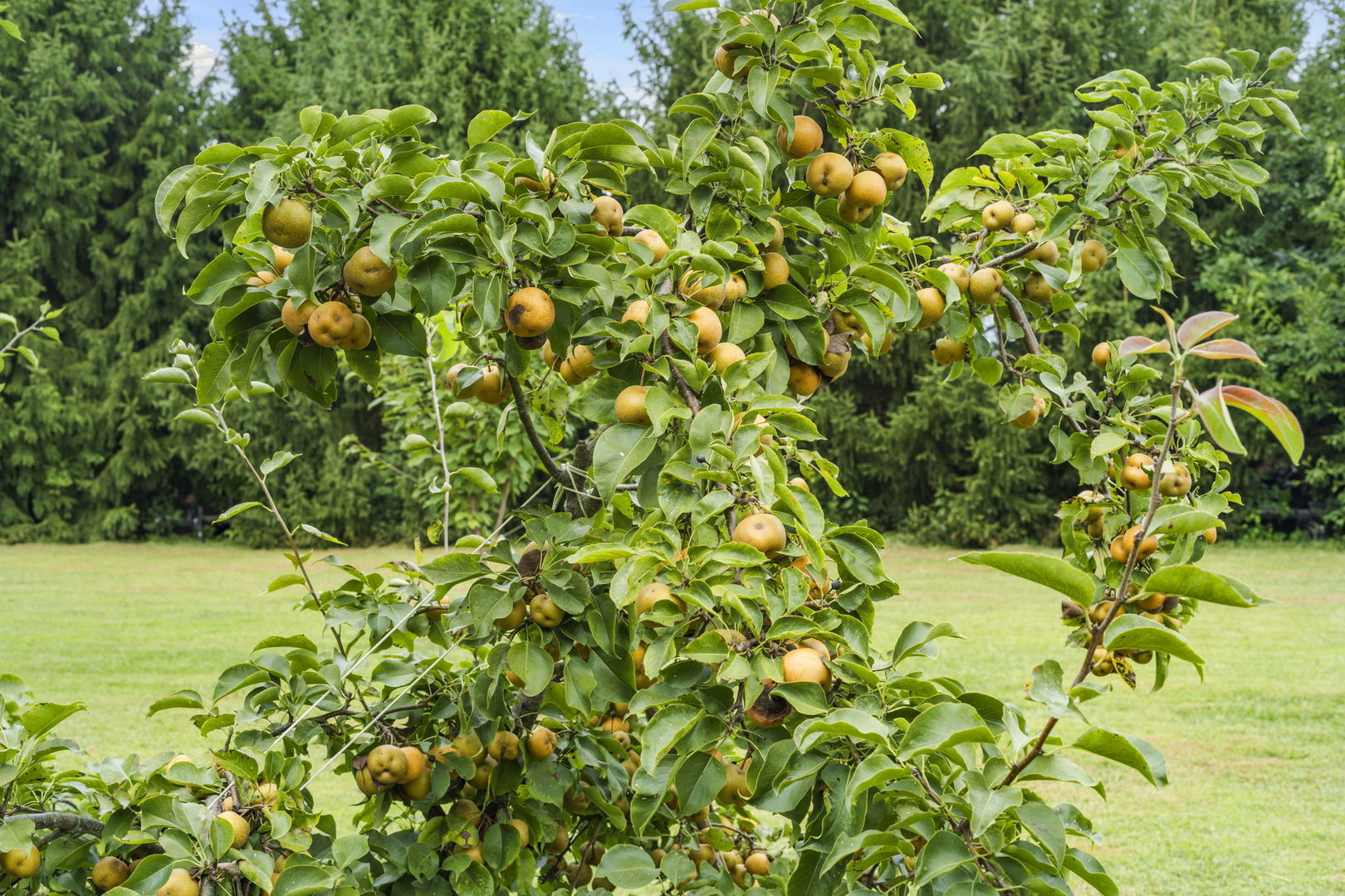 19583 W Goodwin Road, Wilmington, IL 60481