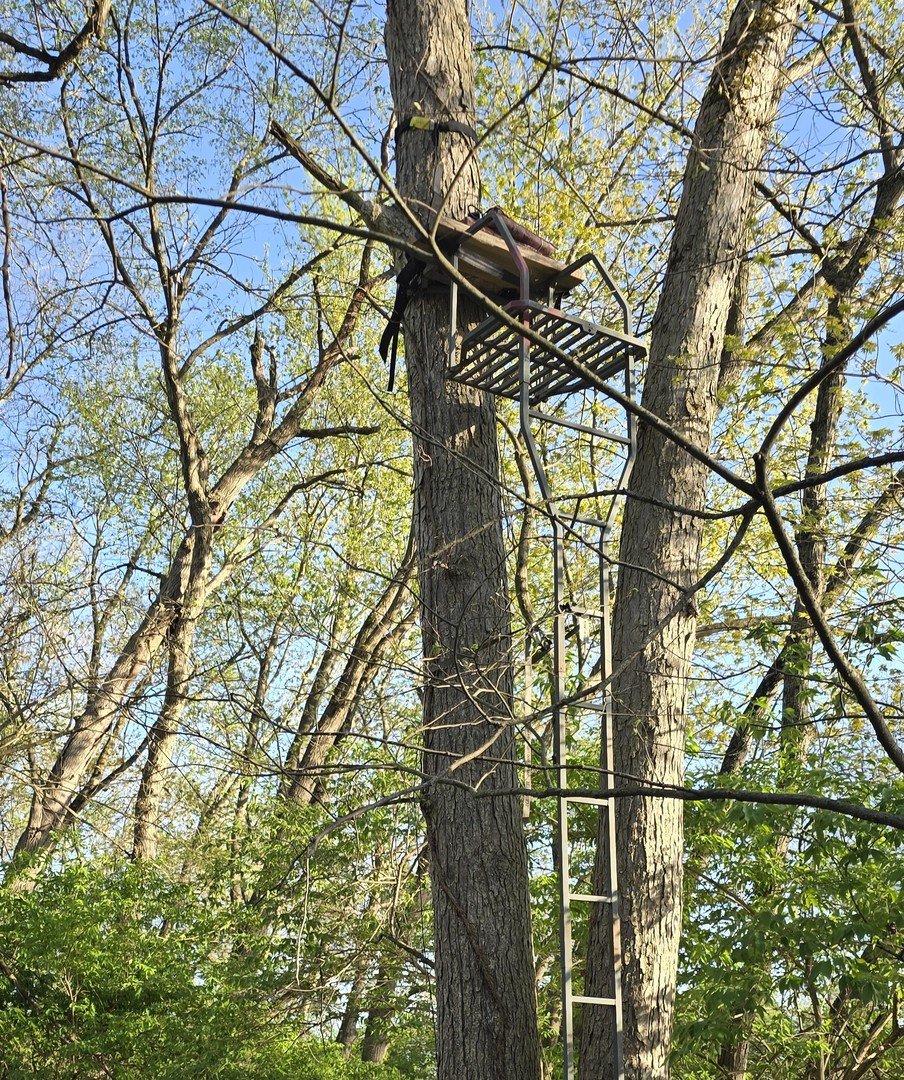 19583 W Goodwin Road, Wilmington, IL 60481