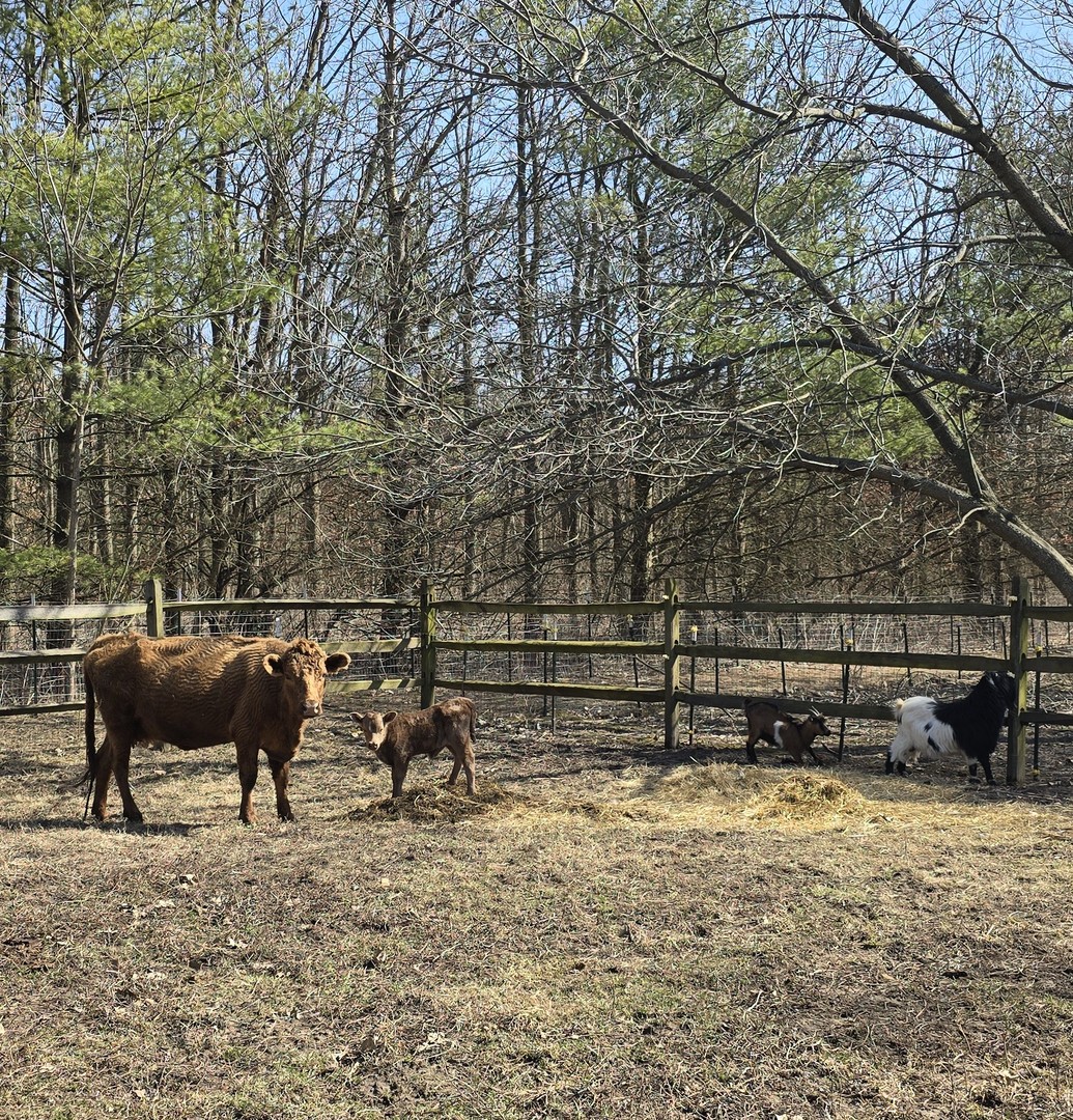 19583 W Goodwin Road, Wilmington, IL 60481