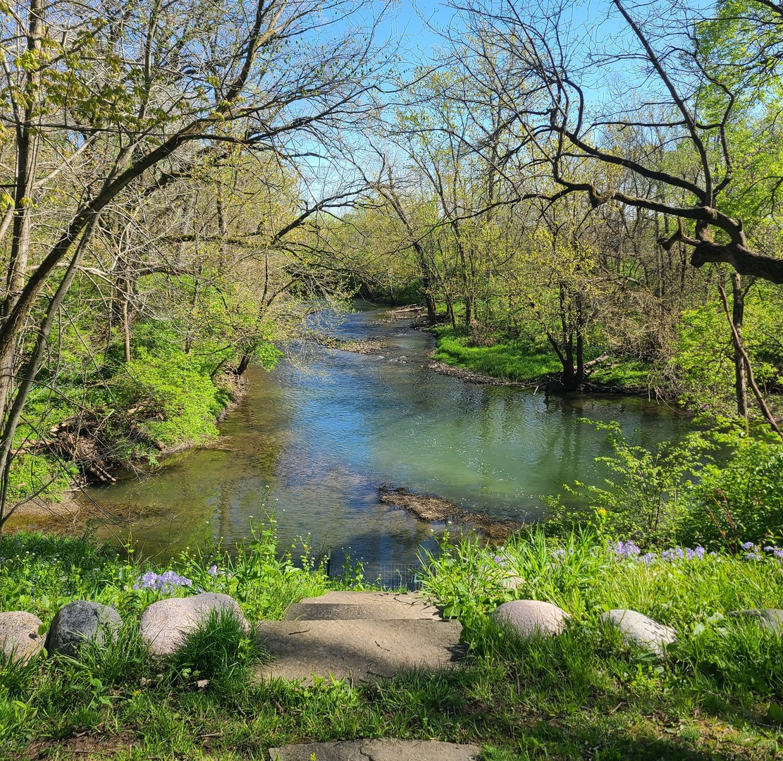 19583 W Goodwin Road, Wilmington, IL 60481