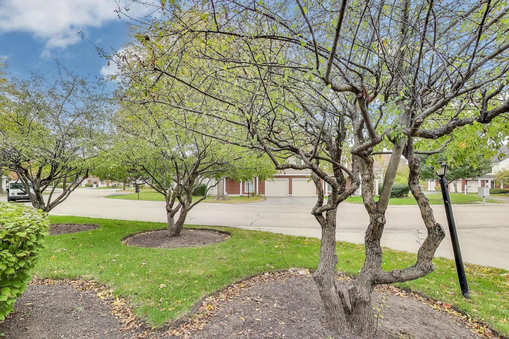 22 S Stonington Drive, Palatine, IL 60074