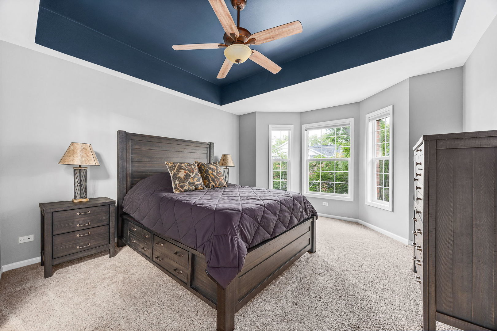 822 Shandrew Drive, Naperville, IL 60540