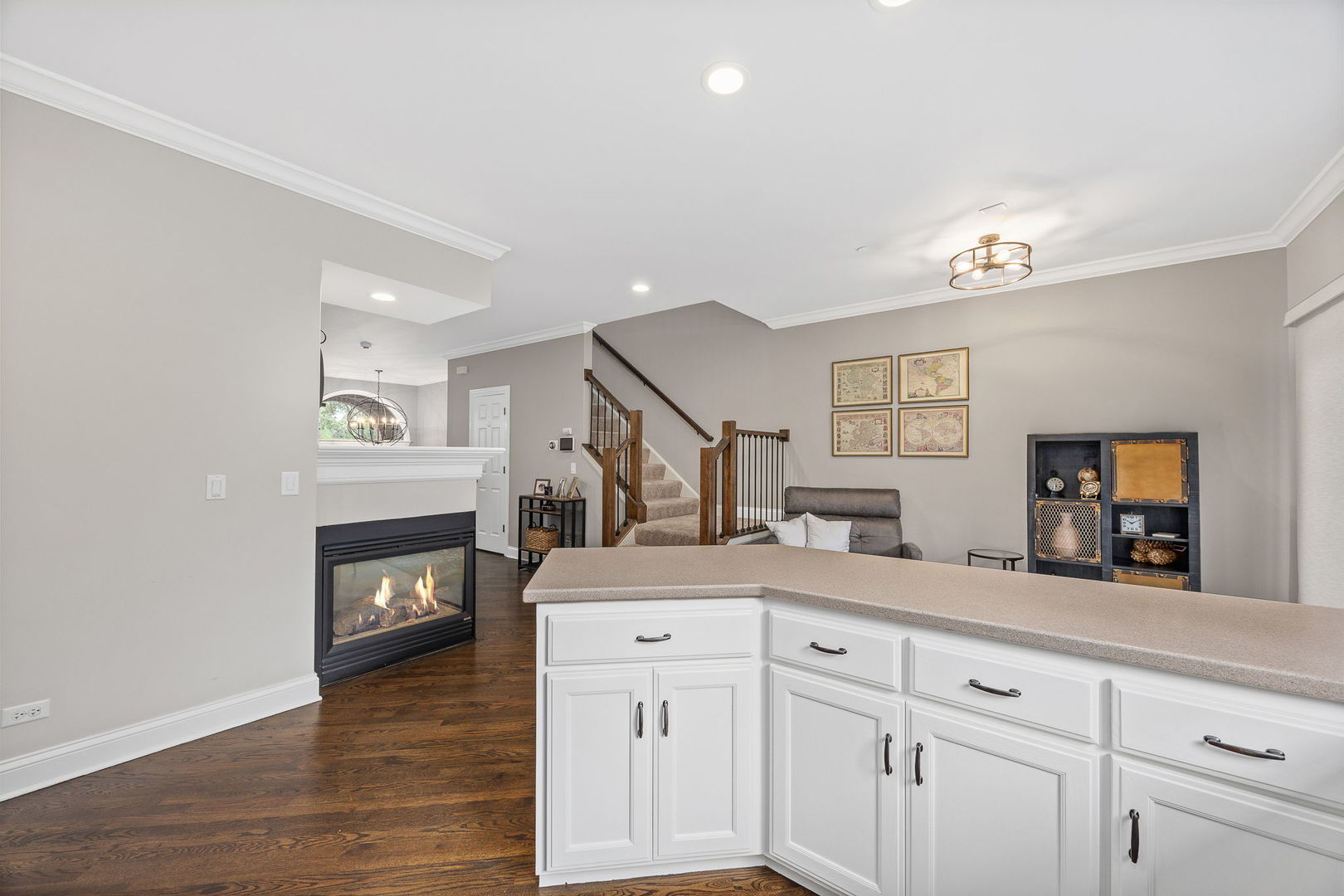 822 Shandrew Drive, Naperville, IL 60540