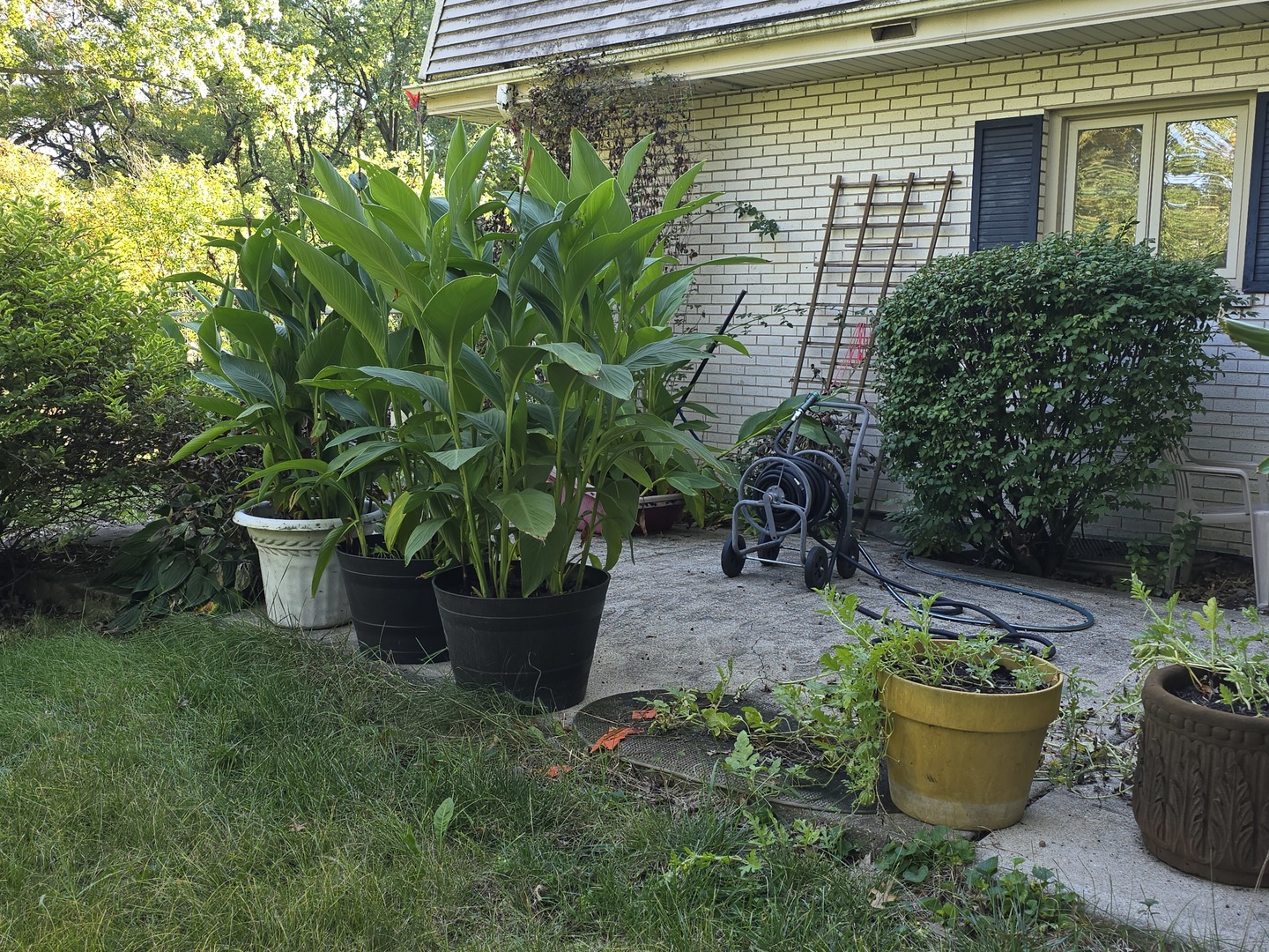 20535 Marathon Court, Olympia Fields, IL 60461