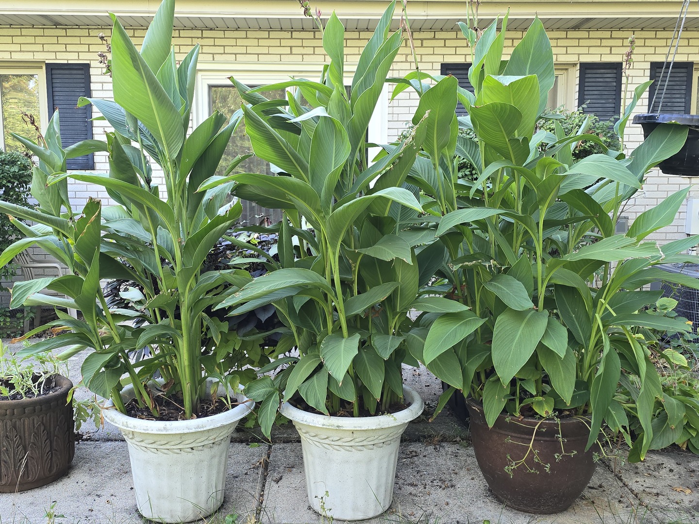 20535 Marathon Court, Olympia Fields, IL 60461