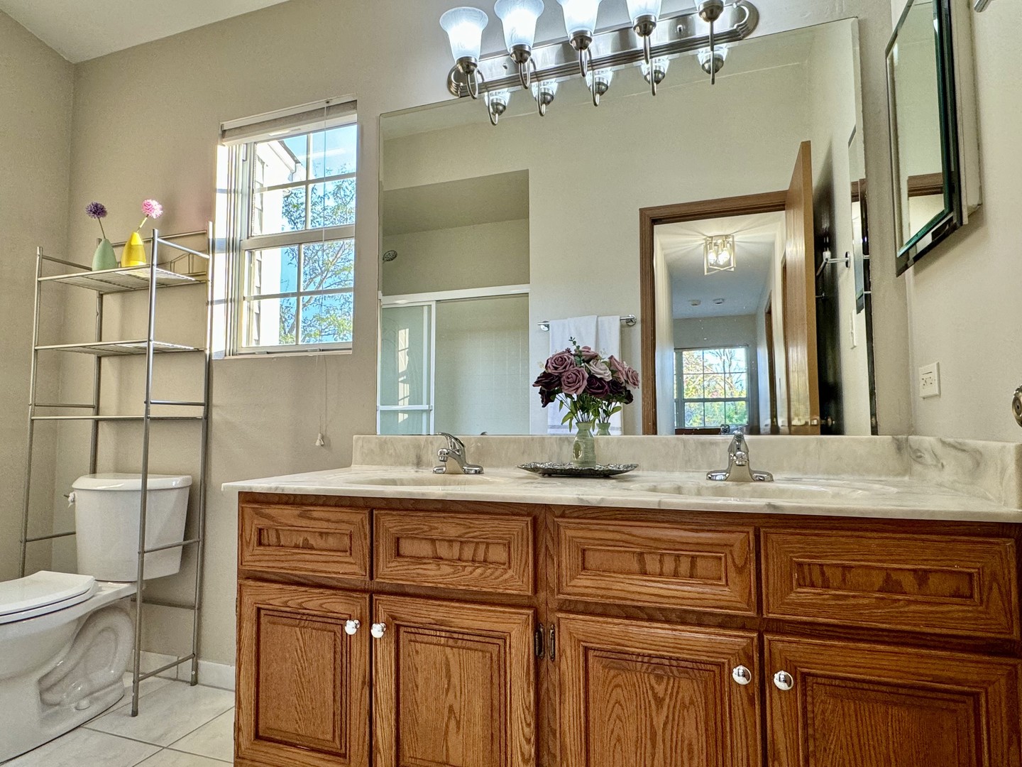 1604 ESTATE Circle, Naperville, IL 60565