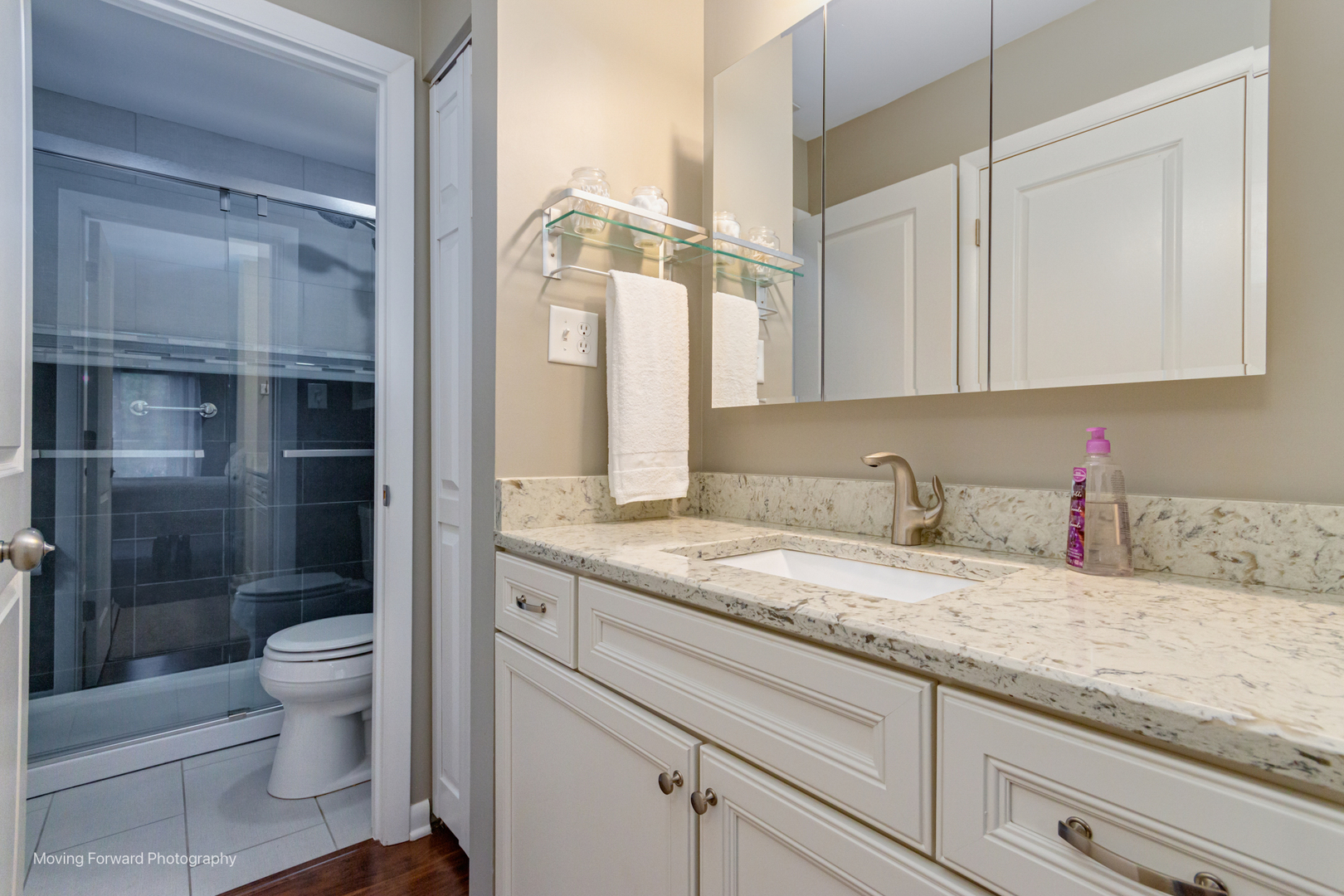 1701 Lakecliffe Drive #D, Wheaton, IL 60189