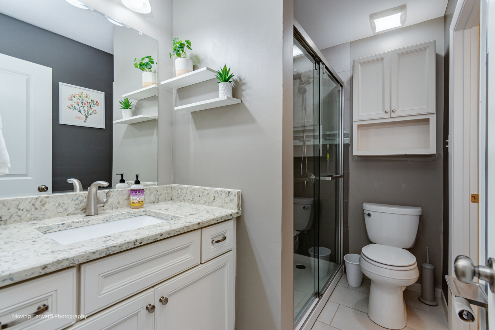 1701 Lakecliffe Drive #D, Wheaton, IL 60189