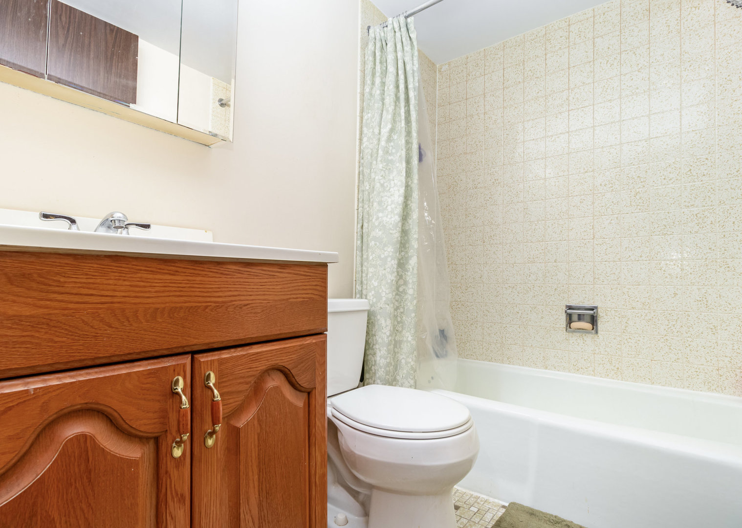 255 S West Avenue #309, Elmhurst, IL 60126