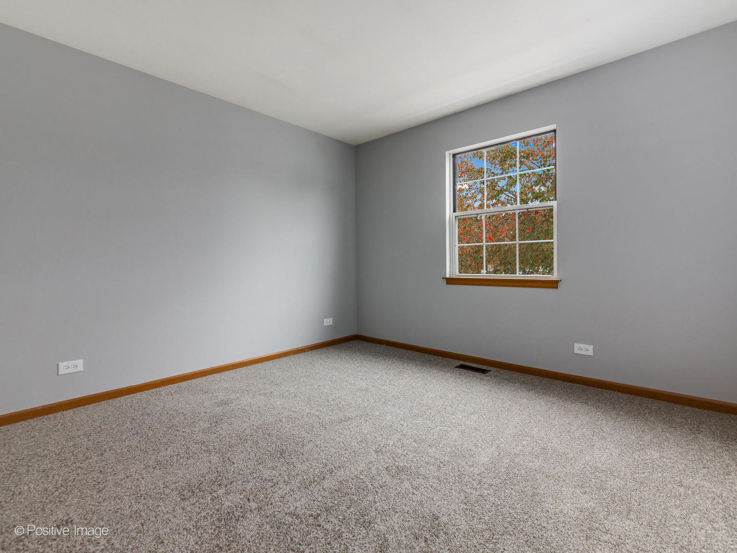 216 Still Water Court, Palatine, IL 60067