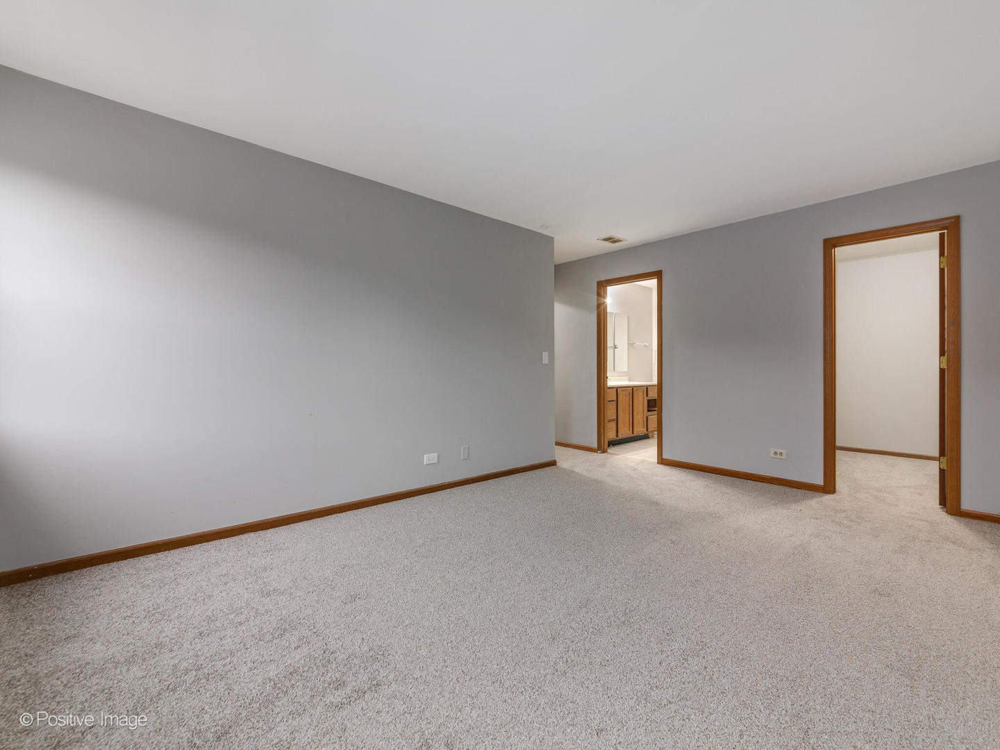 216 Still Water Court, Palatine, IL 60067