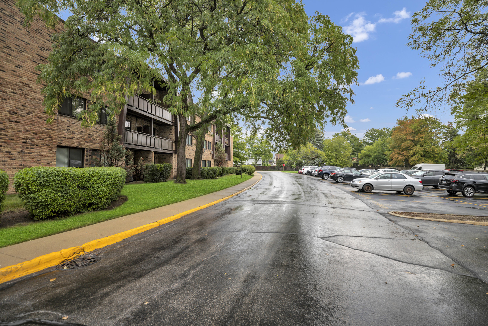 2604 N Windsor Drive #206, Arlington Heights, IL 60004