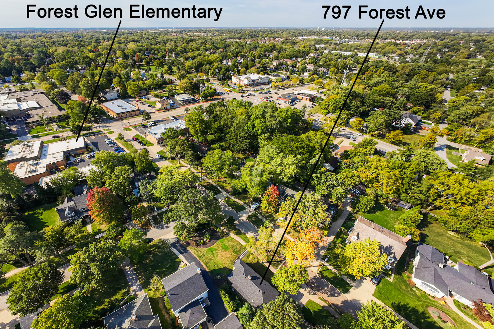 797 Forest Avenue, Glen Ellyn, IL 60137