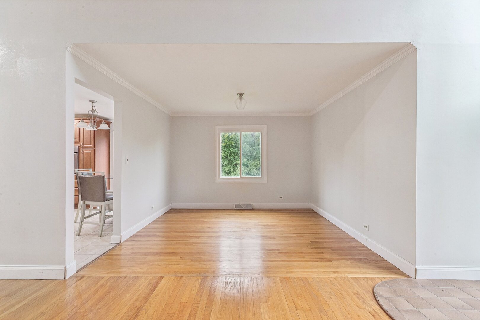 21008 Apollo Circle, Olympia Fields, IL 60461