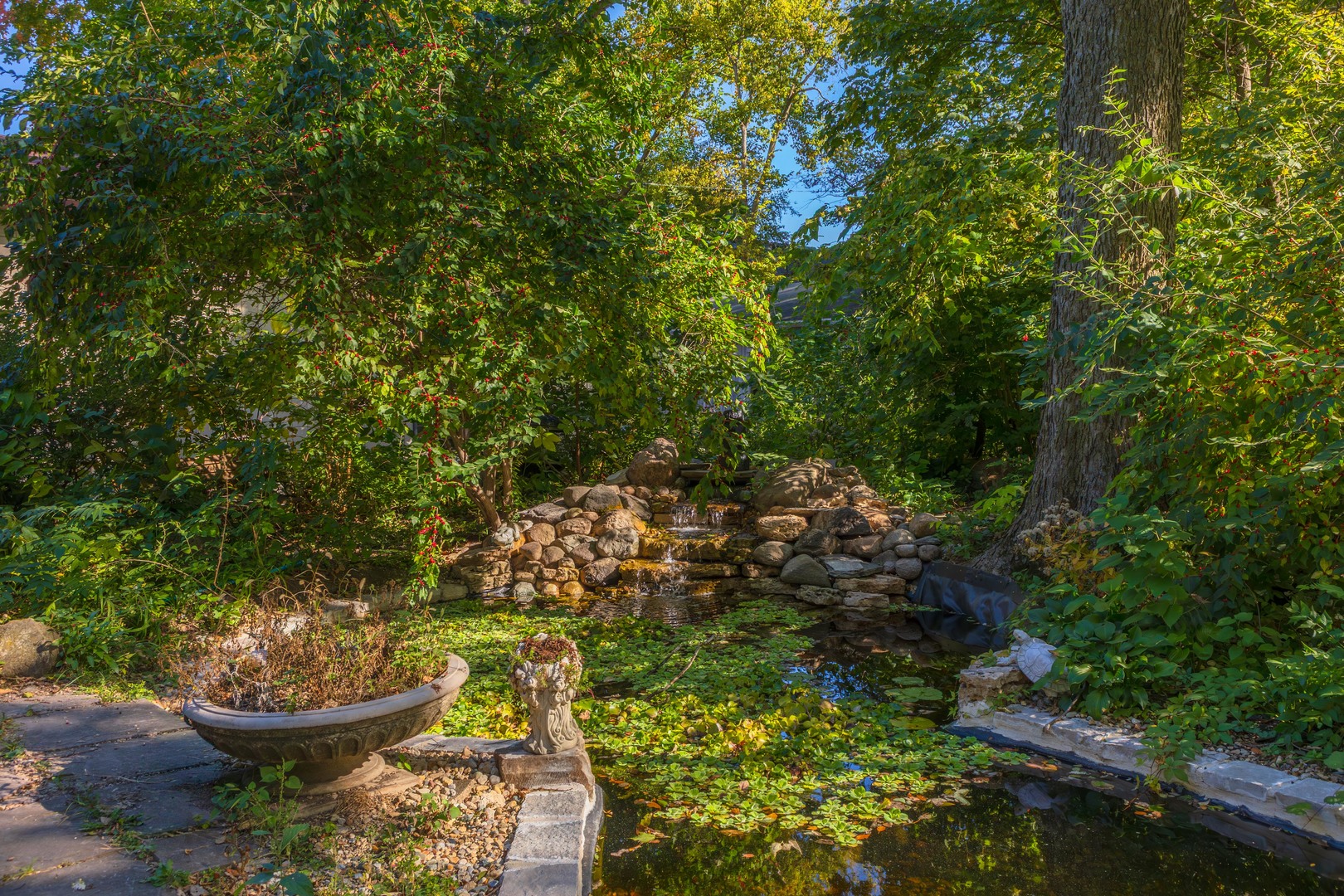 1111 E Grove Street, Bloomington, IL 61701