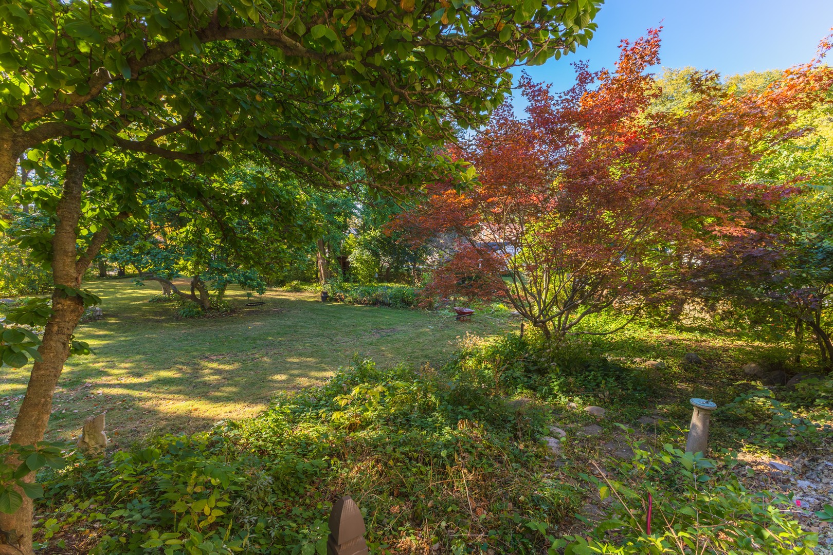 1111 E Grove Street, Bloomington, IL 61701