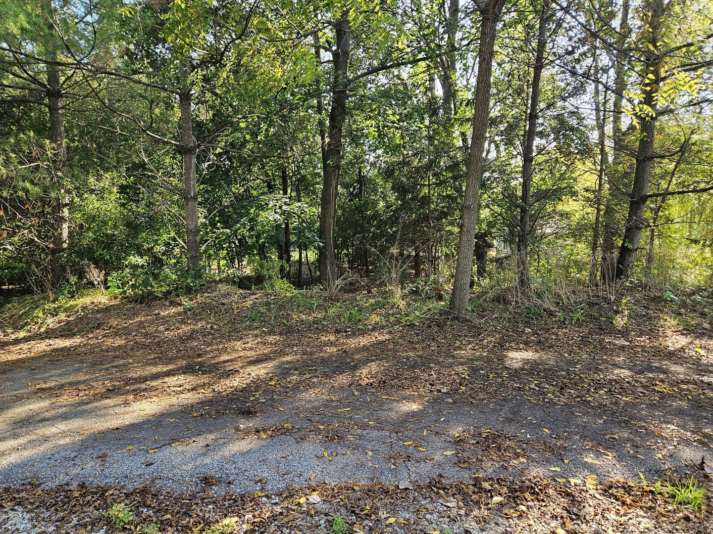 122 S Haman Road, Inverness, IL 60010