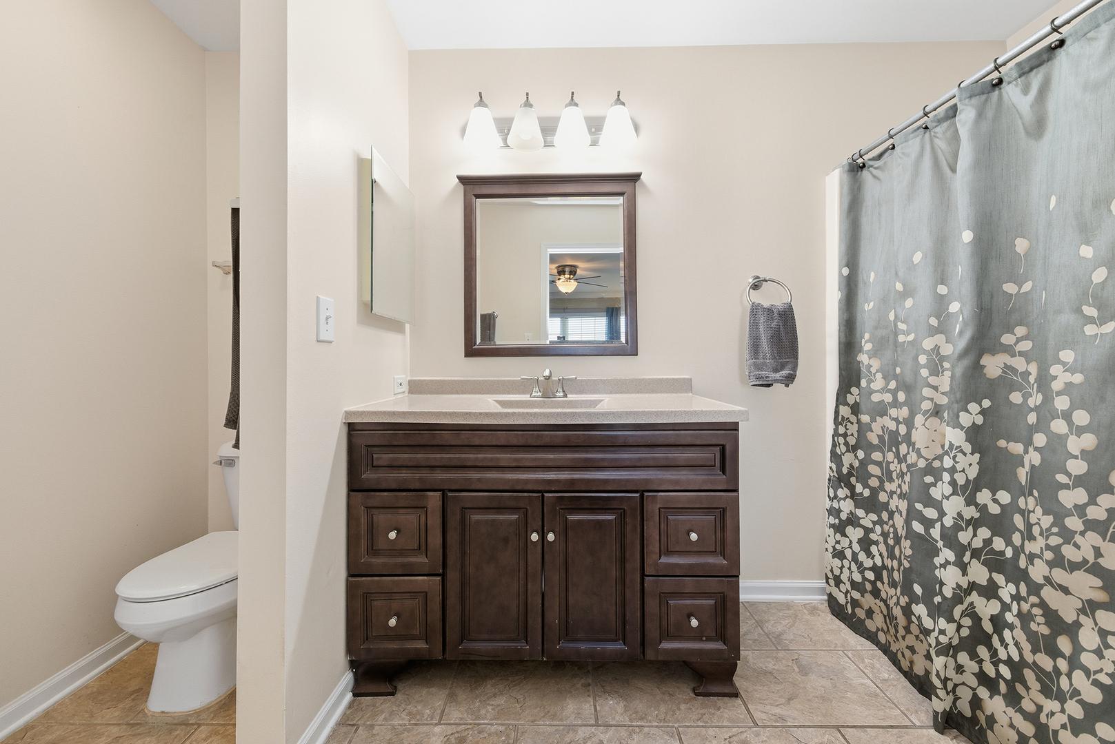 1461 Waterside Drive, Bolingbrook, IL 60490