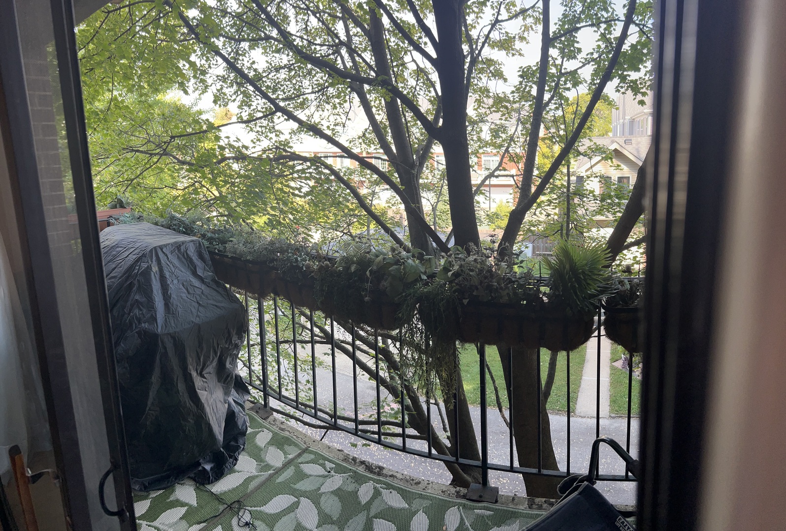 Morton Grove, IL 60053